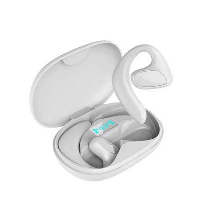 Bluetooth Smart Translation Earbuds